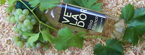 323324blanco velador